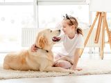 Triệt sản cho chó mèo là gì? Tất tần tật những điều cần phải biết