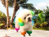 8 căn bệnh nguy hiểm thường gặp ở chó con
